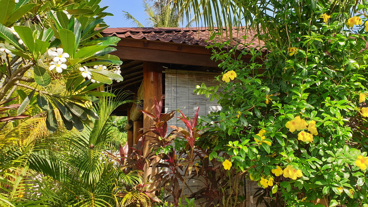 Surrounded by tropical garden - Guesthouse in Maumere Flores Surrounded by tropical garden - close to Waiara beach - Guesthouse in Maumere - affordable alternative to hotel